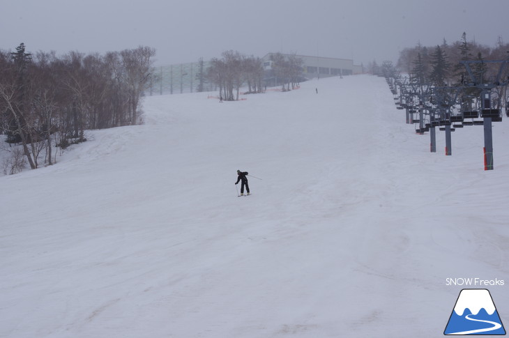 札幌国際スキー場 積雪豊富☆明日の営業最終日も、ほぼ全面滑走可能です!!